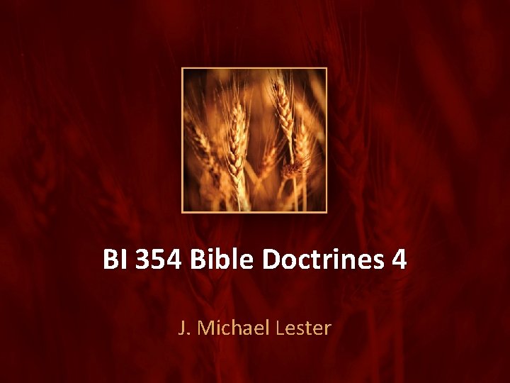 BI 354 Bible Doctrines 4 J. Michael Lester 