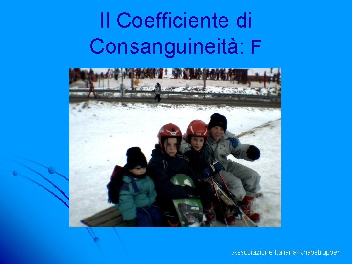 Il Coefficiente di Consanguineità: F Associazione Italiana Knabstrupper 