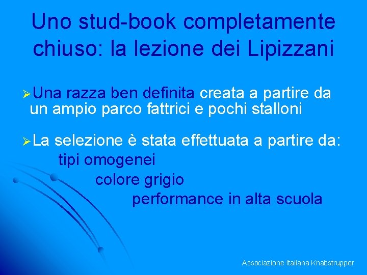 Uno stud-book completamente chiuso: la lezione dei Lipizzani ØUna razza ben definita creata a