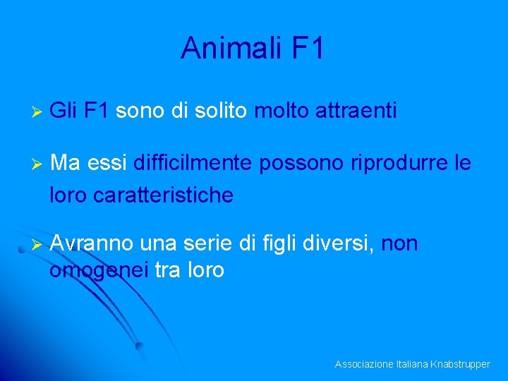 Animali F 1 Ø Gli F 1 sono di solito molto attraenti Ø Ma