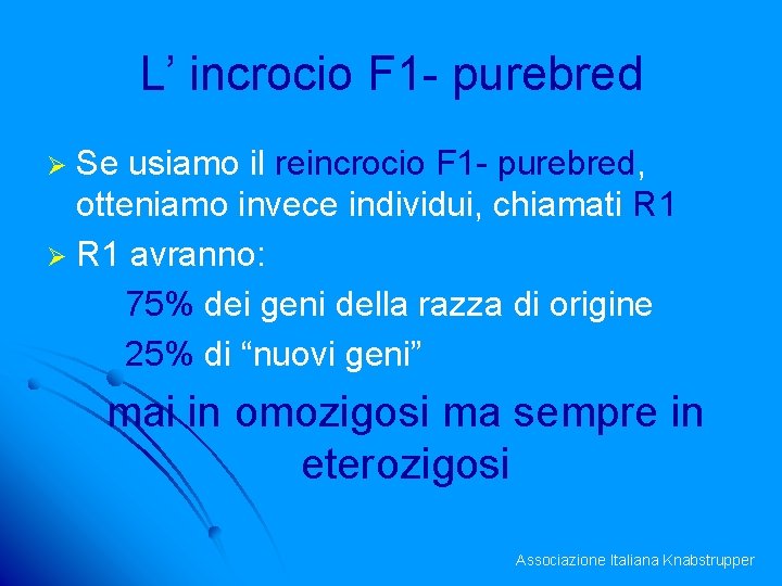 L’ incrocio F 1 - purebred Se usiamo il reincrocio F 1 - purebred,