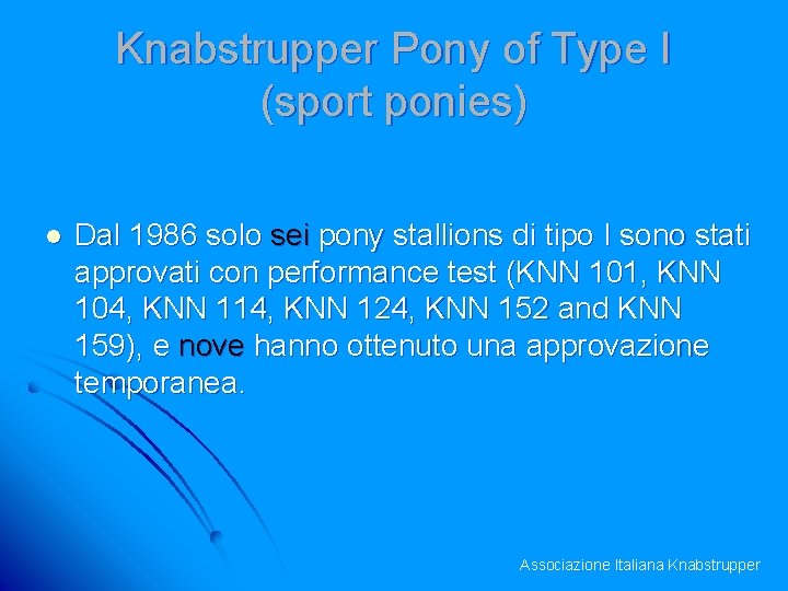 Knabstrupper Pony of Type I (sport ponies) l Dal 1986 solo sei pony stallions