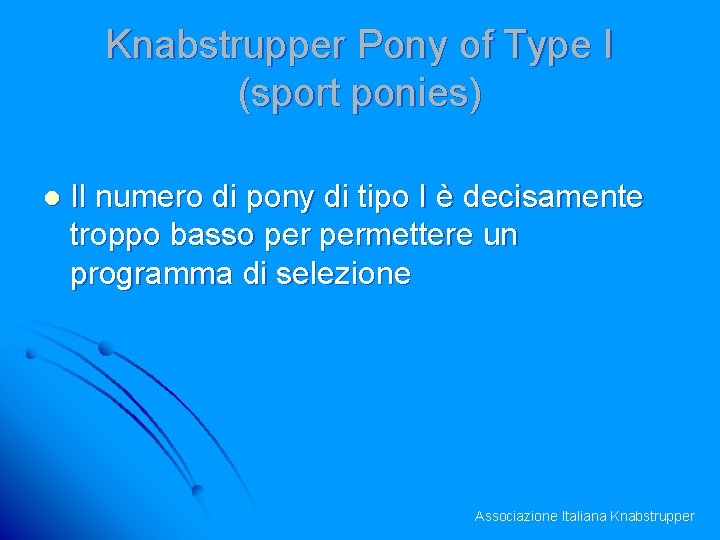 Knabstrupper Pony of Type I (sport ponies) l Il numero di pony di tipo