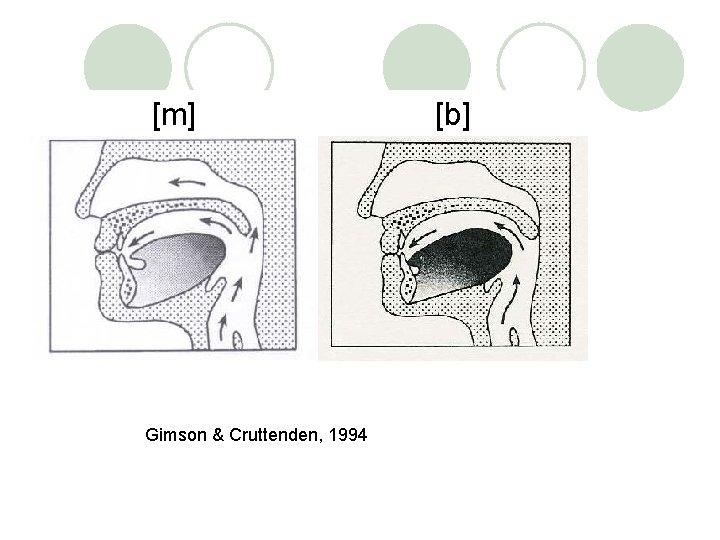 [m] Gimson & Cruttenden, 1994 [b] 