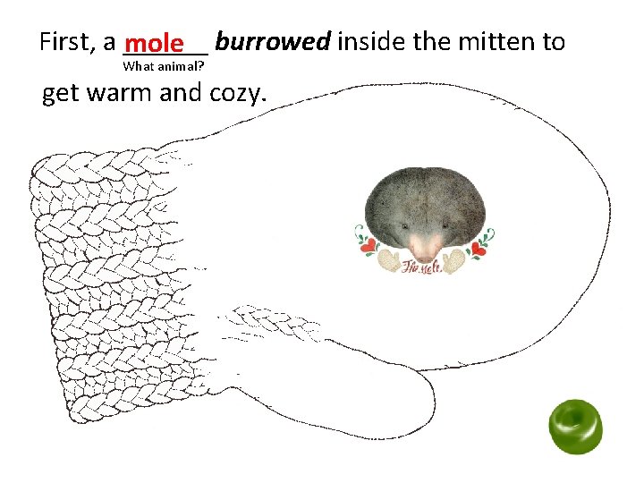 First, a ______ mole burrowed inside the mitten to What animal? get warm and