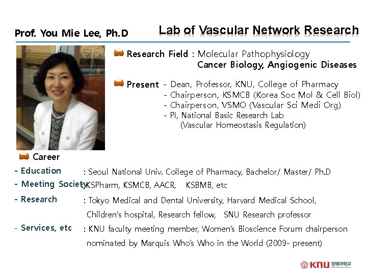 Prof. You Mie Lee, Ph. D Lab of Vascular Network Research ◎ Research Field