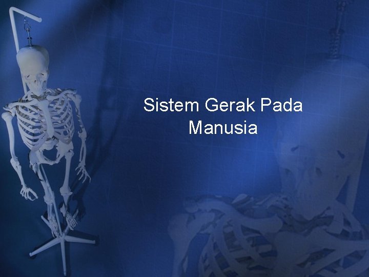 Sistem Gerak Pada Manusia Sistem Gerak Pada Manusia