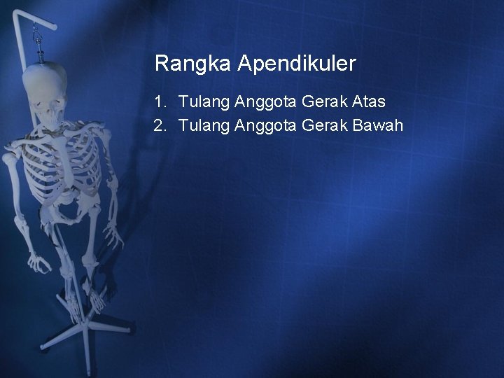 Rangka Apendikuler 1. Tulang Anggota Gerak Atas 2. Tulang Anggota Gerak Bawah Rangka Apendikuler 1. Tulang Anggota Gerak Atas 2. Tulang Anggota Gerak Bawah