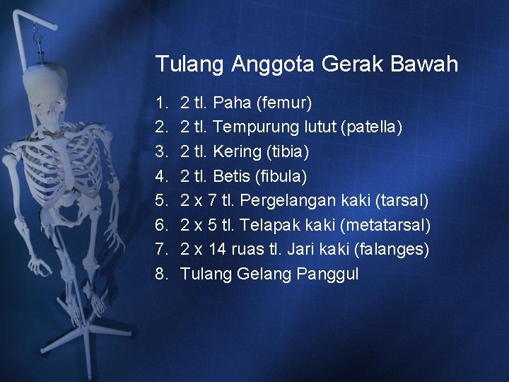 Tulang Anggota Gerak Bawah 1. 2. 3. 4. 5. 6. 7. 8. 2 tl. Tulang Anggota Gerak Bawah 1. 2. 3. 4. 5. 6. 7. 8. 2 tl.