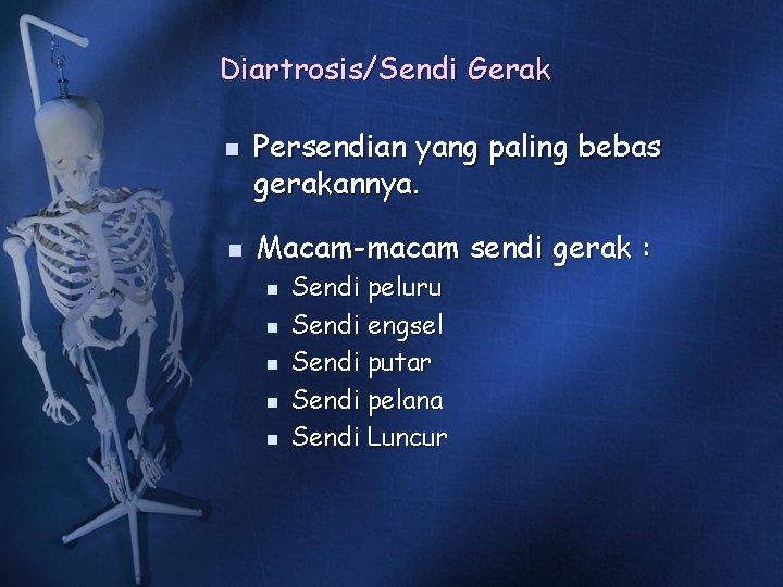 Diartrosis/Sendi Gerak n n Persendian yang paling bebas gerakannya. Macam-macam sendi gerak : n Diartrosis/Sendi Gerak n n Persendian yang paling bebas gerakannya. Macam-macam sendi gerak : n
