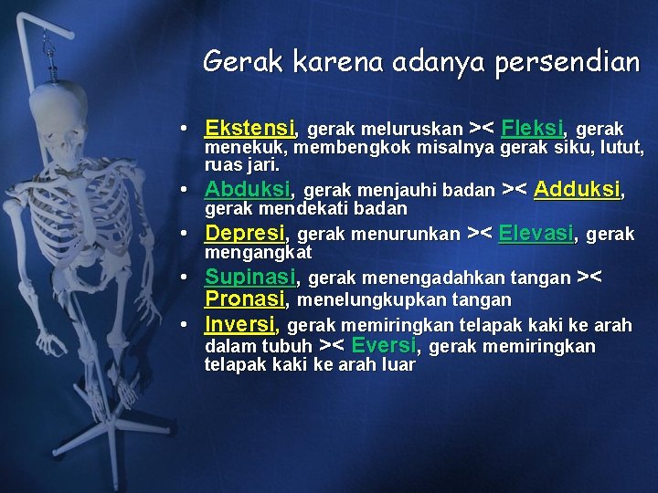 Gerak karena adanya persendian • Ekstensi, gerak meluruskan >< Fleksi, gerak • • menekuk, Gerak karena adanya persendian • Ekstensi, gerak meluruskan >< Fleksi, gerak • • menekuk,