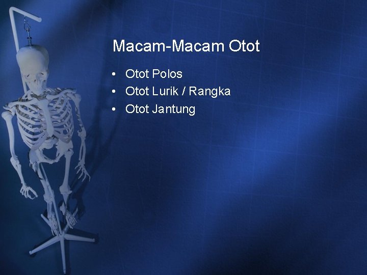 Macam-Macam Otot • Otot Polos • Otot Lurik / Rangka • Otot Jantung Macam-Macam Otot • Otot Polos • Otot Lurik / Rangka • Otot Jantung