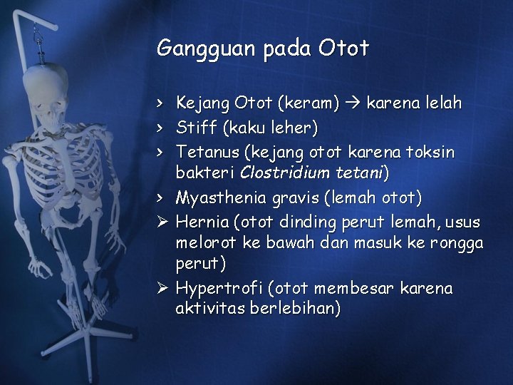 Gangguan pada Otot > > > Kejang Otot (keram) karena lelah Stiff (kaku leher) Gangguan pada Otot > > > Kejang Otot (keram) karena lelah Stiff (kaku leher)