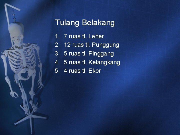 Tulang Belakang 1. 2. 3. 4. 5. 7 ruas tl. Leher 12 ruas tl. Tulang Belakang 1. 2. 3. 4. 5. 7 ruas tl. Leher 12 ruas tl.