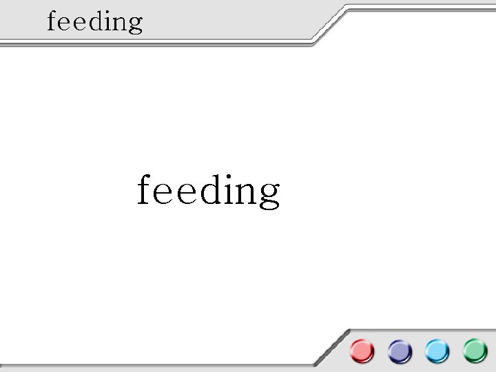 feeding 