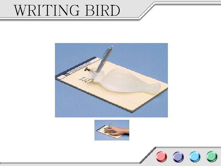 WRITING BIRD 