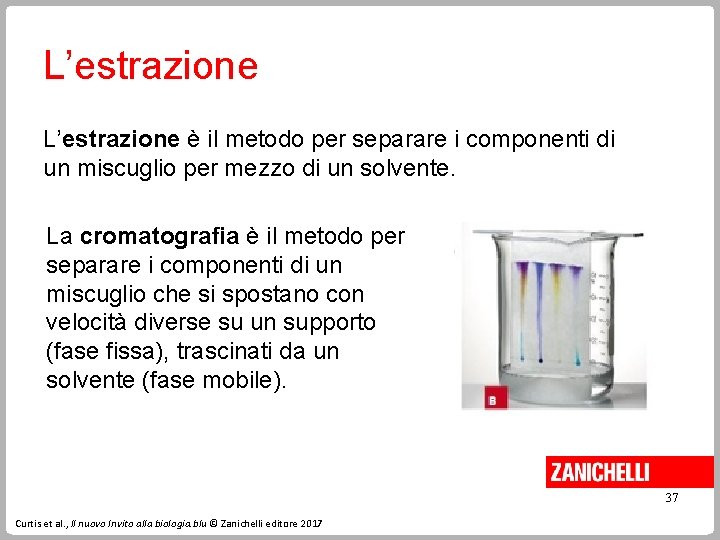 L’estrazione è il metodo per separare i componenti di un miscuglio per mezzo di