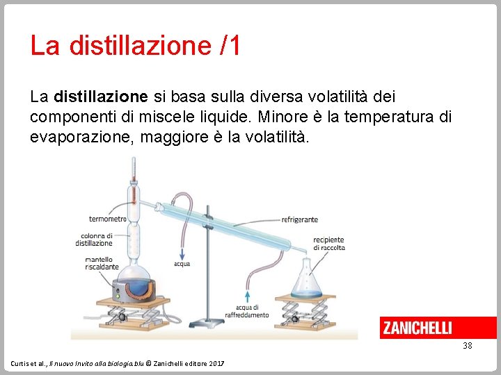 La distillazione /1 La distillazione si basa sulla diversa volatilità dei componenti di miscele