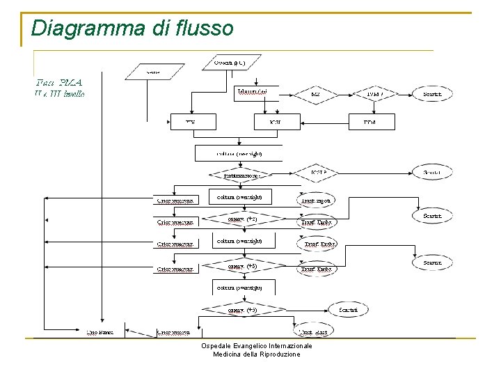 Diagramma di flusso Ospedale Evangelico Internazionale Medicina della Riproduzione 