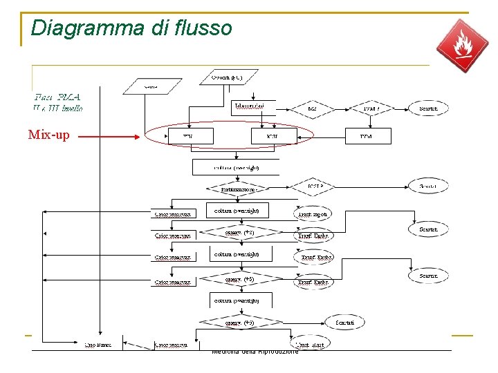 Diagramma di flusso Mix-up Ospedale Evangelico Internazionale Medicina della Riproduzione 