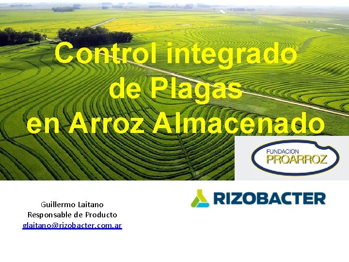 Control integrado de Plagas en Arroz Almacenado Guillermo Laitano Responsable de Producto glaitano@rizobacter. com.