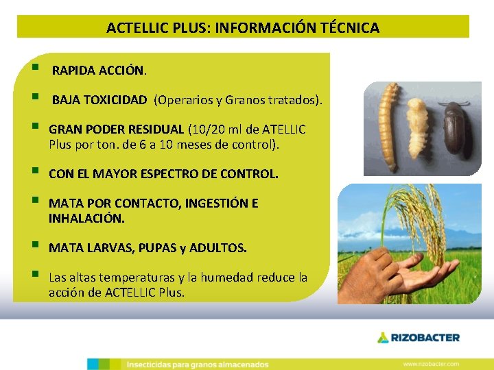 ACTELLIC PLUS: INFORMACIÓN TÉCNICA § § § RAPIDA ACCIÓN. BAJA TOXICIDAD (Operarios y Granos