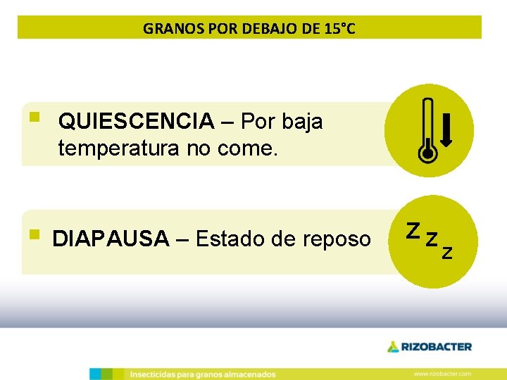 GRANOS POR DEBAJO DE 15°C § QUIESCENCIA – Por baja temperatura no come. §