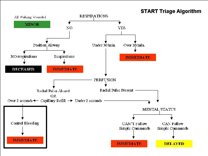 START Triage Algorithm 