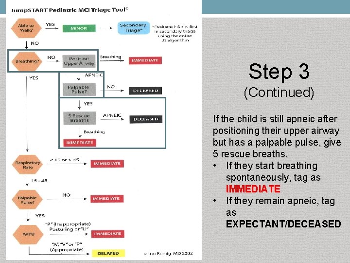 Step 3 (Continued) If the child is still apneic after positioning their upper airway