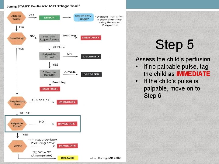 Step 5 Assess the child’s perfusion. • If no palpable pulse, tag the child