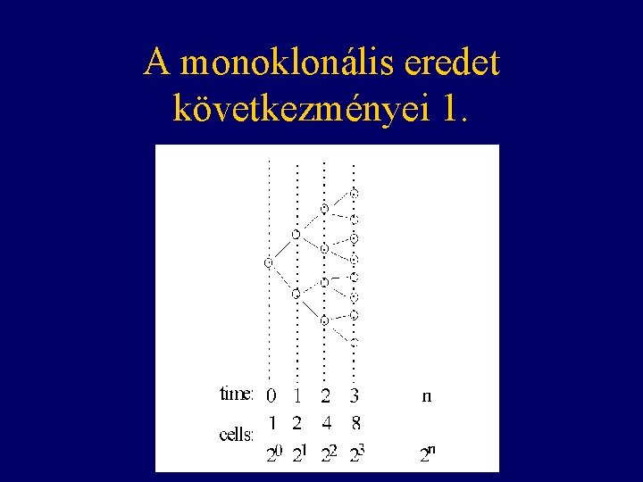 A monoklonális eredet következményei 1. 