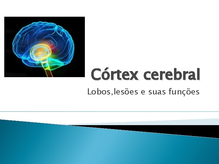 Córtex cerebral Lobos, lesões e suas funções 