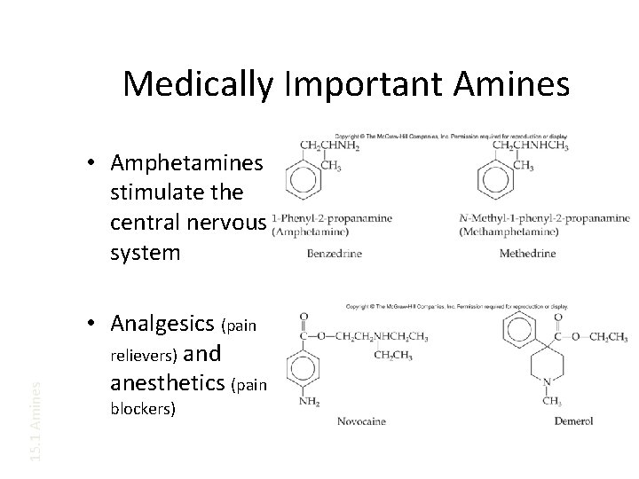 Medically Important Amines 15. 1 Amines • Amphetamines stimulate the central nervous system •