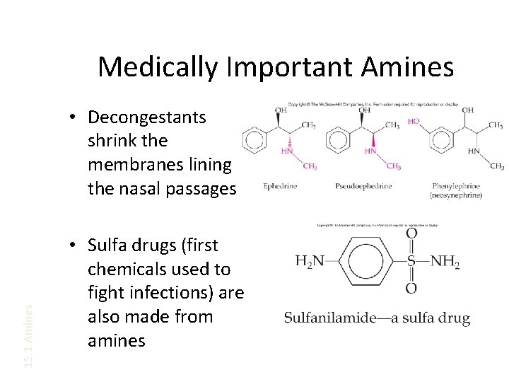 Medically Important Amines 15. 1 Amines • Decongestants shrink the membranes lining the nasal