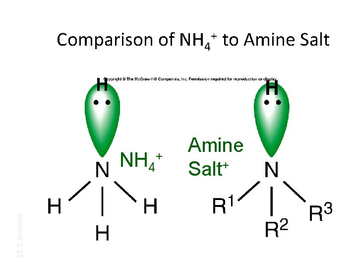 Comparison of NH 4+ to Amine Salt H H 15. 1 Amines NH 4+