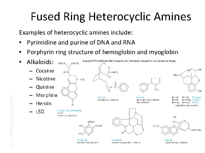 Fused Ring Heterocyclic Amines 15. 2 Heterocyclic Amines Examples of heterocyclic amines include: •