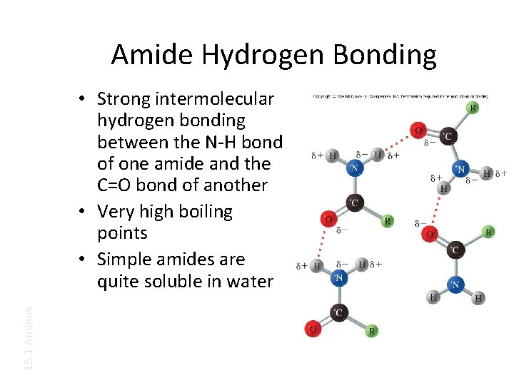 Amide Hydrogen Bonding 15. 1 Amines • Strong intermolecular hydrogen bonding between the N-H