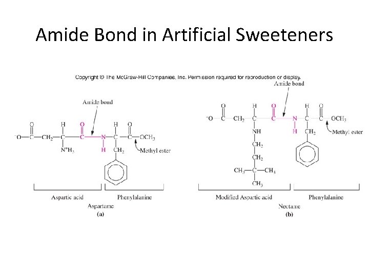 Amide Bond in Artificial Sweeteners 