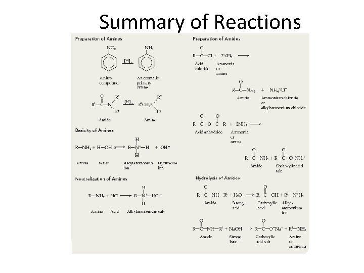 Summary of Reactions 