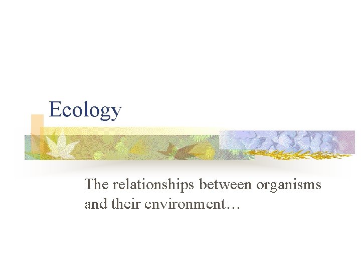 Ecology The relationships between organisms and their environment… 