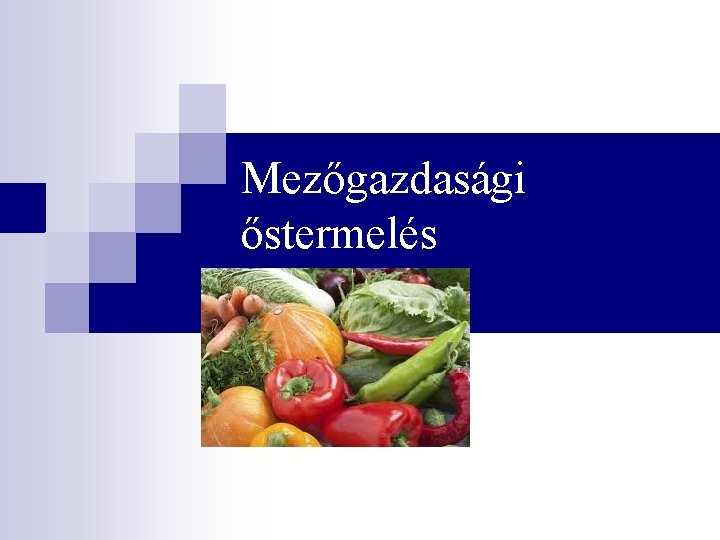 Mezőgazdasági őstermelés 