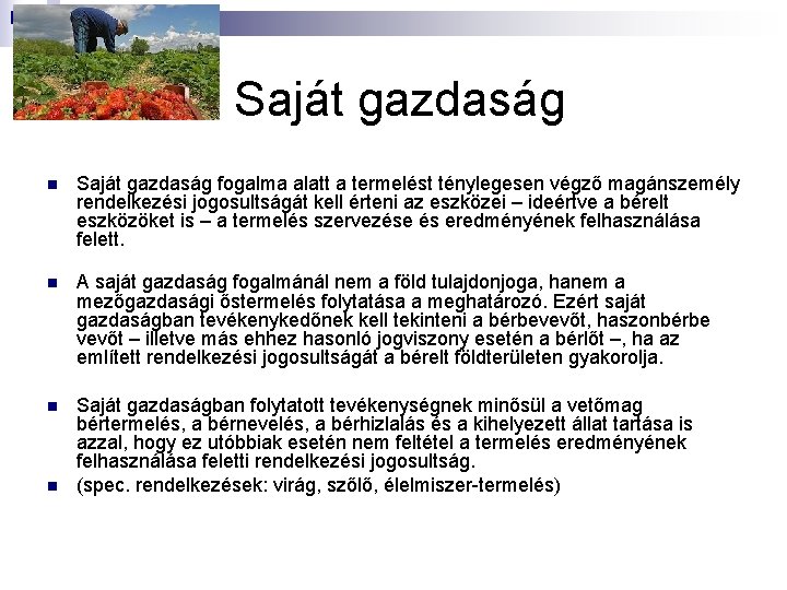 Saját gazdaság n Saját gazdaság fogalma alatt a termelést ténylegesen végző magánszemély rendelkezési jogosultságát