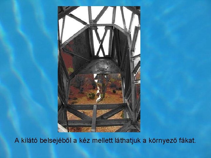 A kilátó belsejéből a kéz mellett láthatjuk a környező fákat. A kilátó belsejéből a kéz mellett láthatjuk a környező fákat.