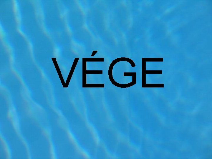 VÉGE VÉGE