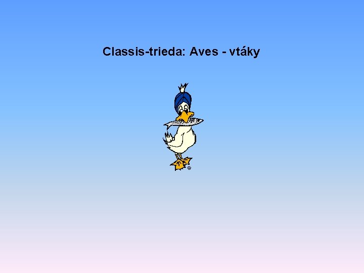 Classis-trieda: Aves - vtáky 