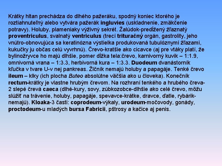 Krátky hltan prechádza do dlhého pažeráku, spodný koniec ktorého je roztiahnuteľný alebo vytvára pažerák