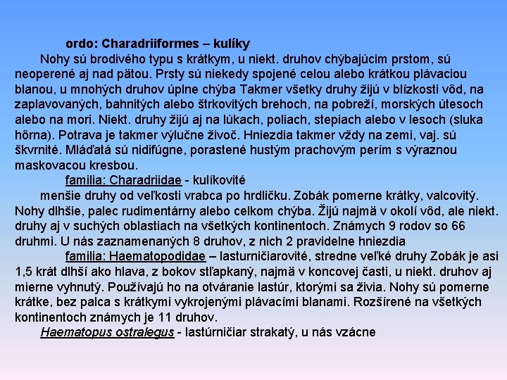 ordo: Charadriiformes – kulíky Nohy sú brodivého typu s krátkym, u niekt. druhov chýbajúcim