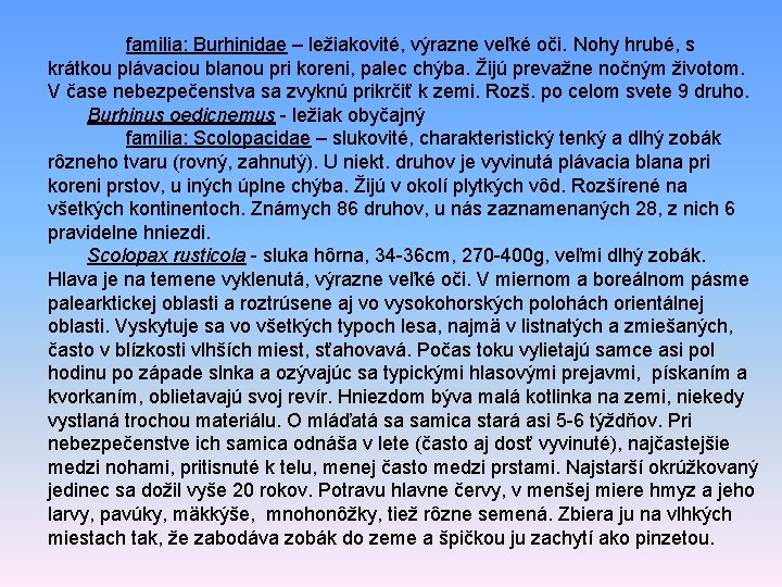 familia: Burhinidae – ležiakovité, výrazne veľké oči. Nohy hrubé, s krátkou plávaciou blanou pri