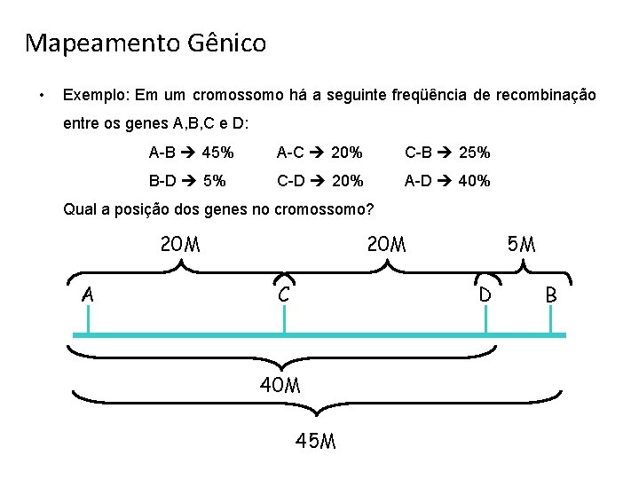 Mapeamento Gênico • Exemplo: Em um cromossomo há a seguinte freqüência de recombinação entre