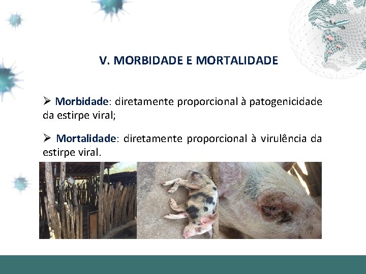 V. MORBIDADE E MORTALIDADE Ø Morbidade: diretamente proporcional à patogenicidade da estirpe viral; Ø